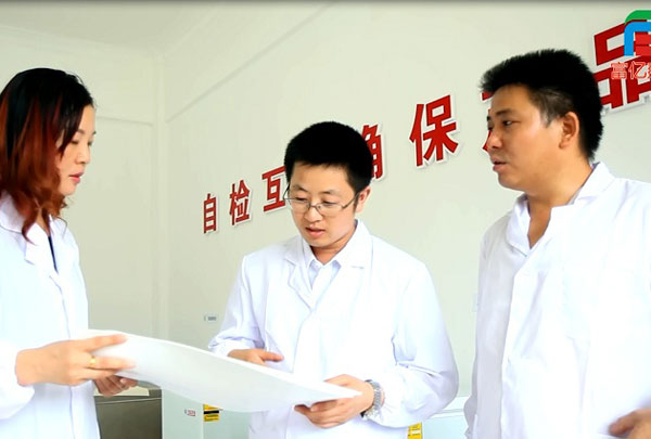 湖北富億建材股份有限公司技術(shù)團隊